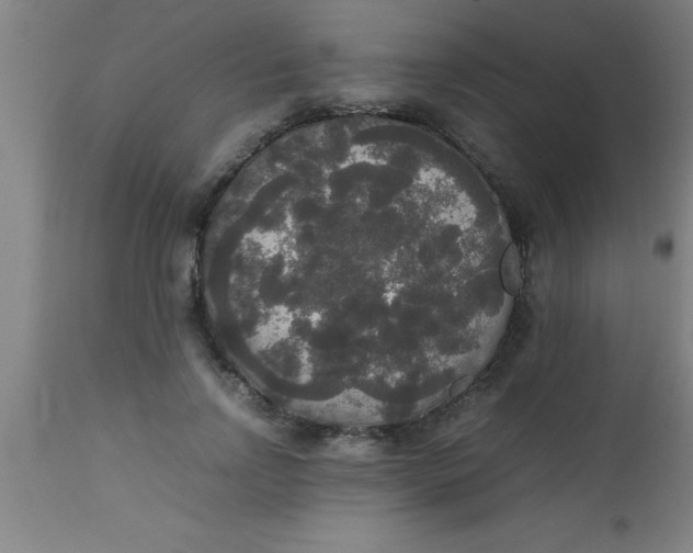 X0000112530742200909071357