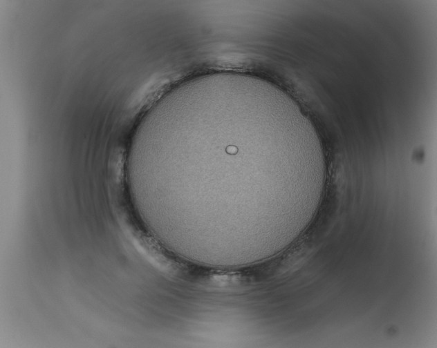 X0000112530744200909071357