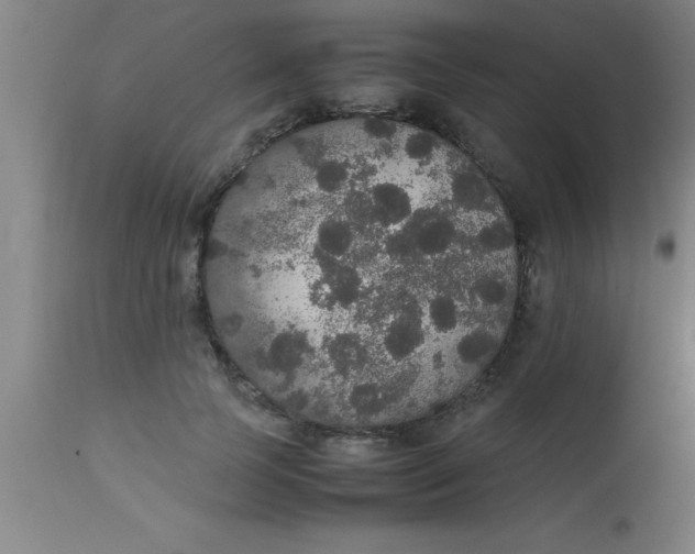 X0000112530745200909071357