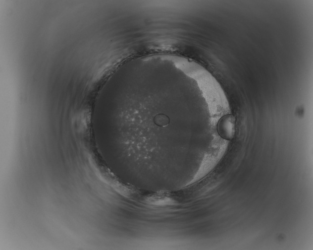 X0000112530747200909071357