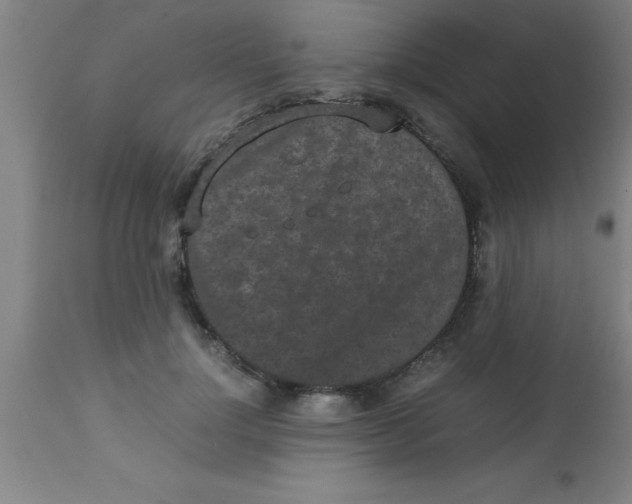 X0000112530748200909071357