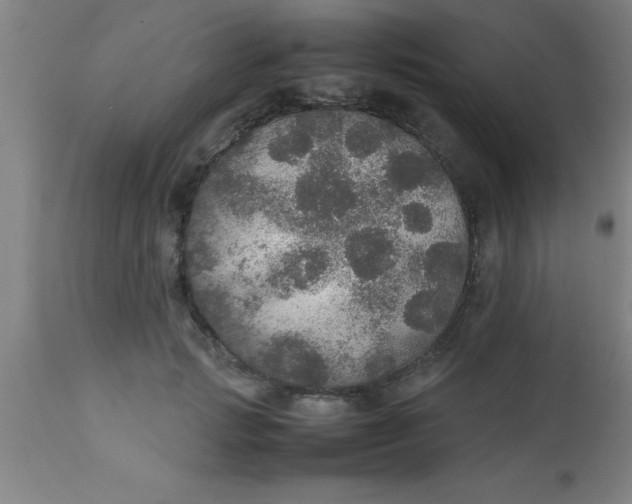 X0000112530749200909071357