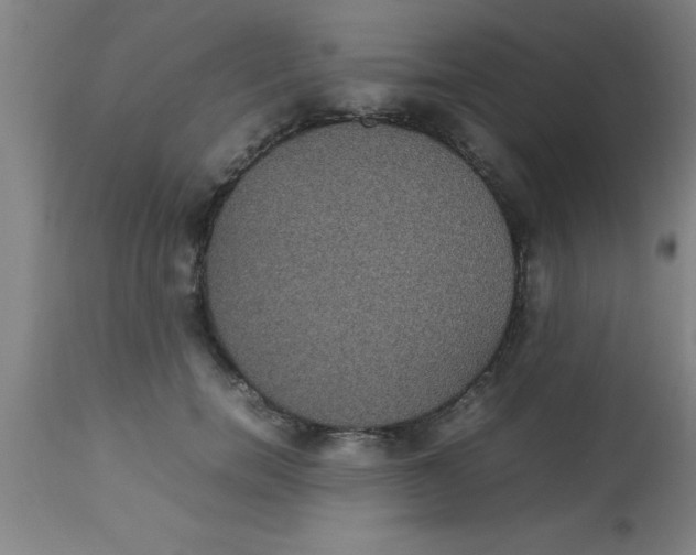 X0000112530750200909071357