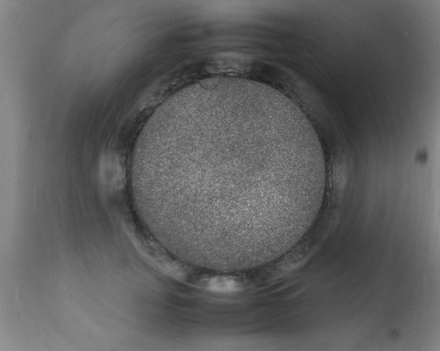 X0000112530751200909071357