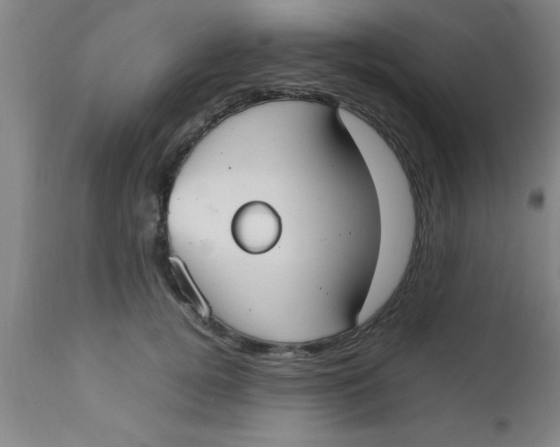 X0000112530752200909071357