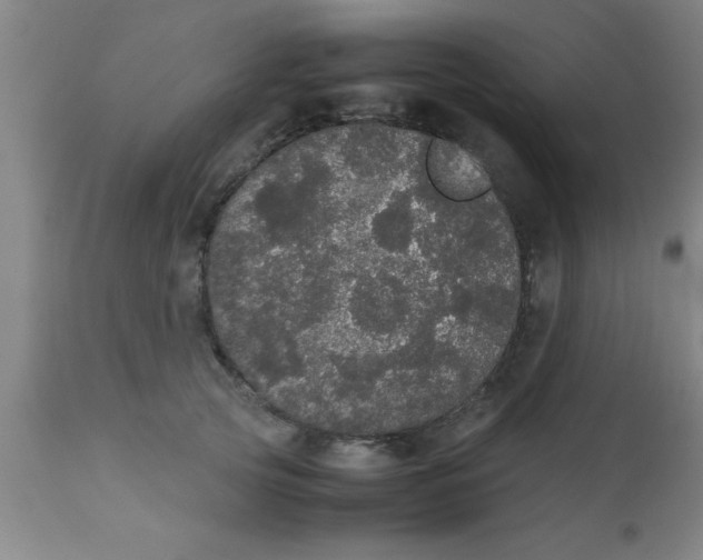 X0000112530753200909071357