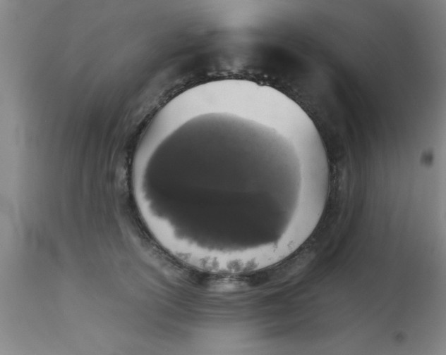 X0000112530754200909071357