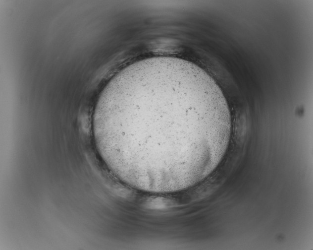 X0000112530755200909071357