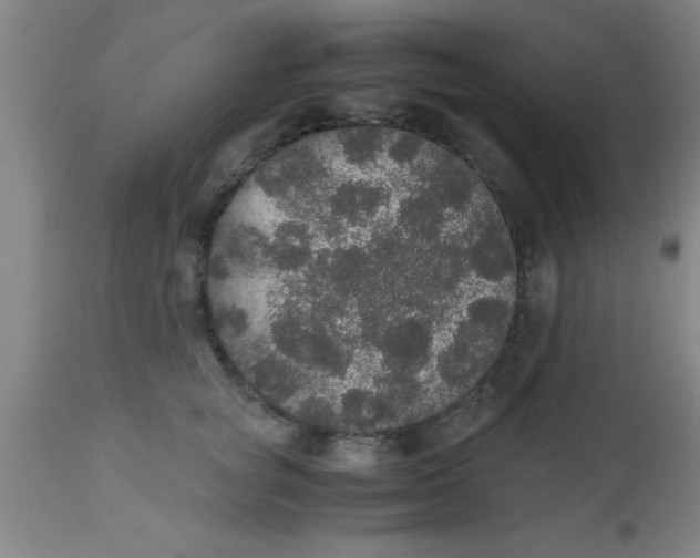 X0000112530757200909071357