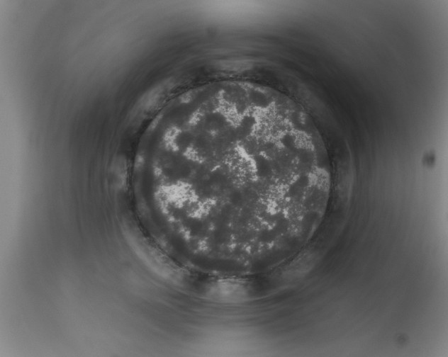 X0000112530758200909071357