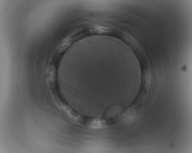 X0000112530760200909071357