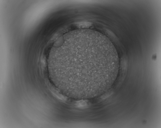 X0000112530761200909071357