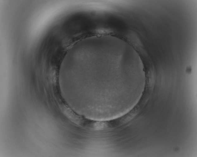 X0000112530762200909071357