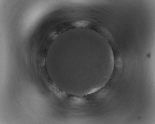 X0000112530763200909071357