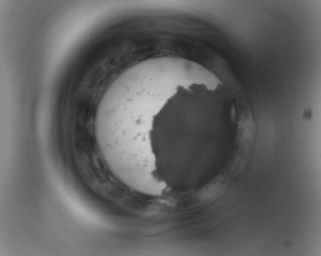 X0000112530765200909071357