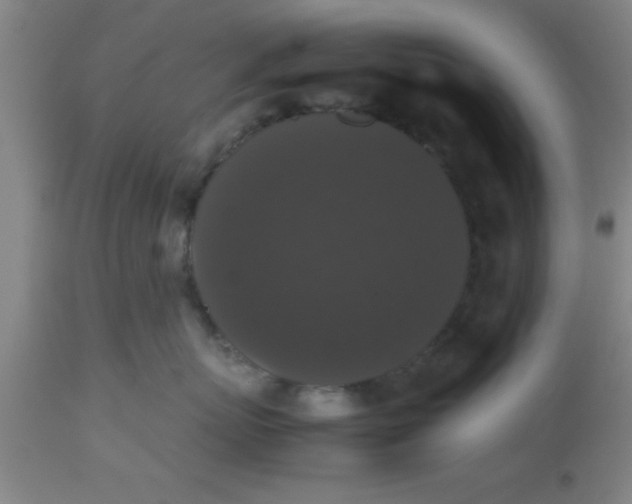 X0000112530767200909071357