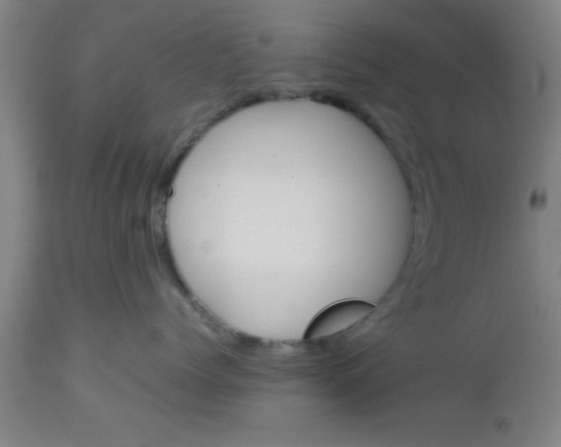 X0000112530768200909071357