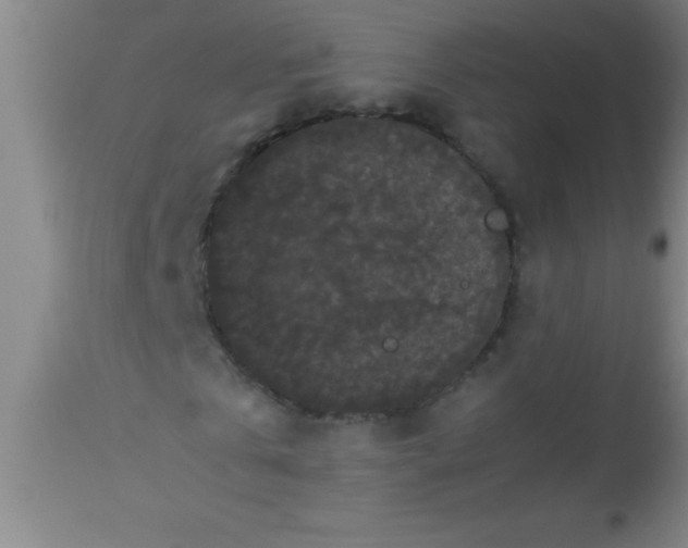 X0000112530769200909071357