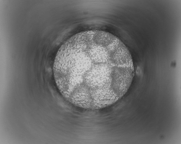 X0000112530771200909071357