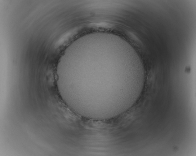 X0000112530774200909071357