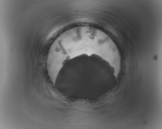 X0000112530775200909071356