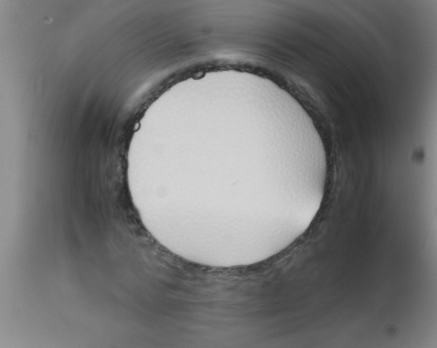 X0000112530776200909071356