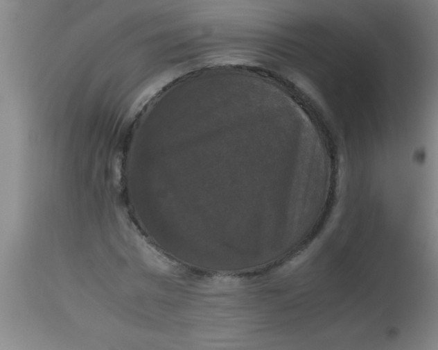 X0000112530777200909071356