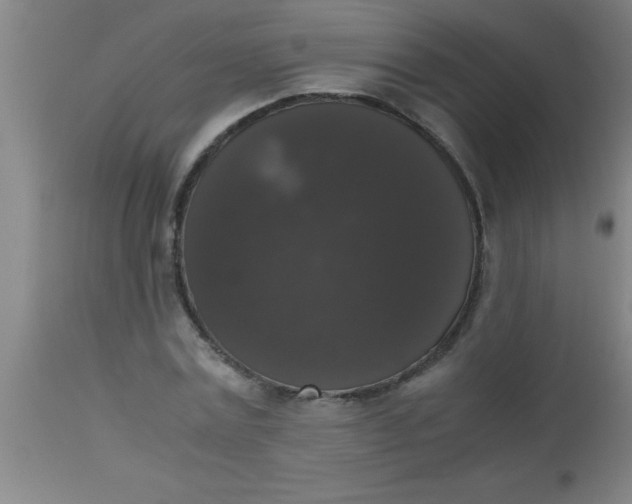 X0000112530779200909071356