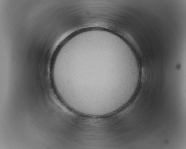 X0000112530780200909071356