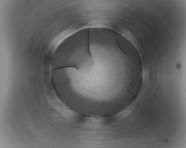 X0000112530781200909071356