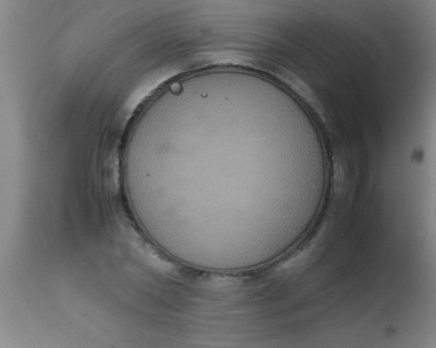 X0000112530782200909071356