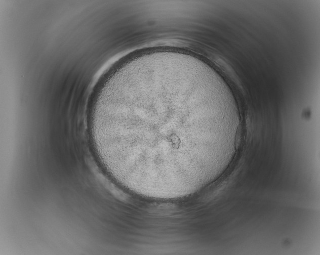 X0000112530784200909071356