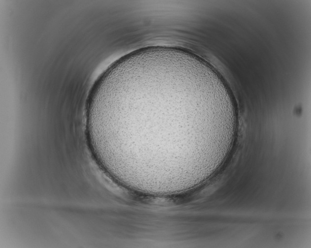 X0000112530787200909071356