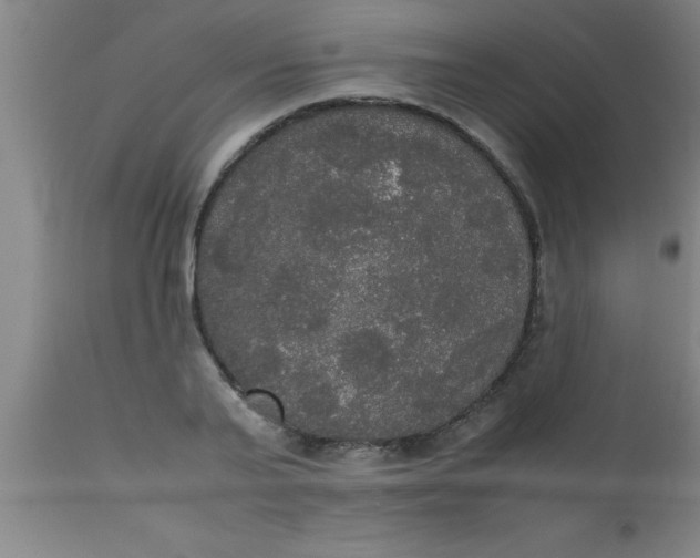 X0000112530791200909071356