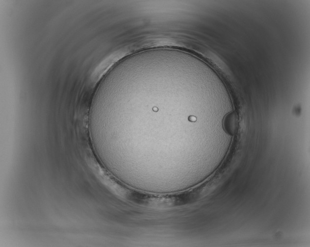 X0000112530793200909071356