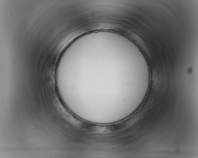 X0000112530794200909071356