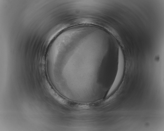 X0000112530798200909071356