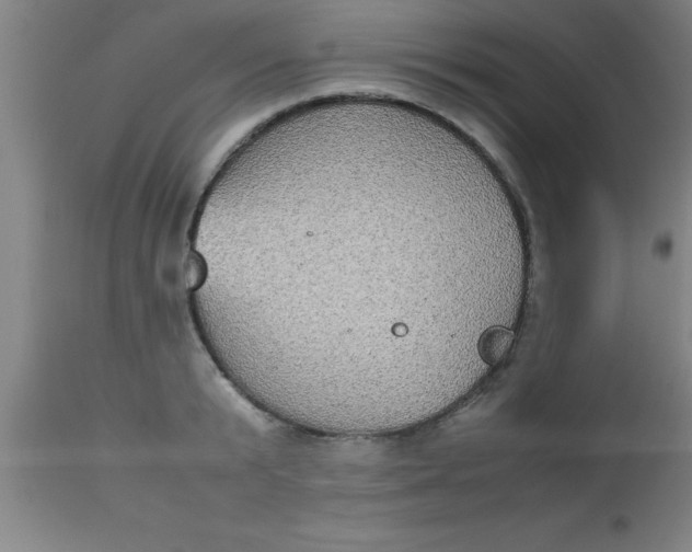 X0000112530799200909071356