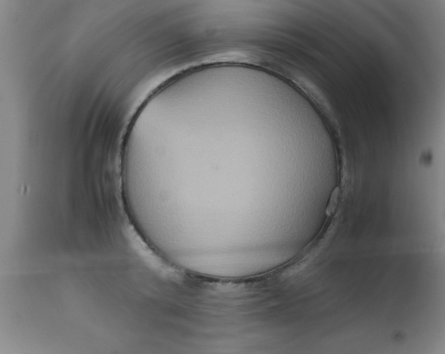 X0000112530800200909071356