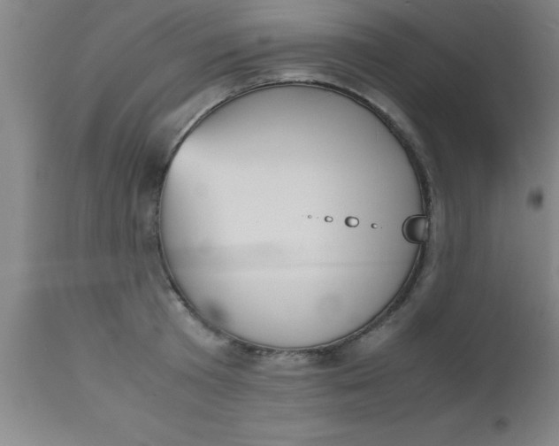 X0000112530801200909071356