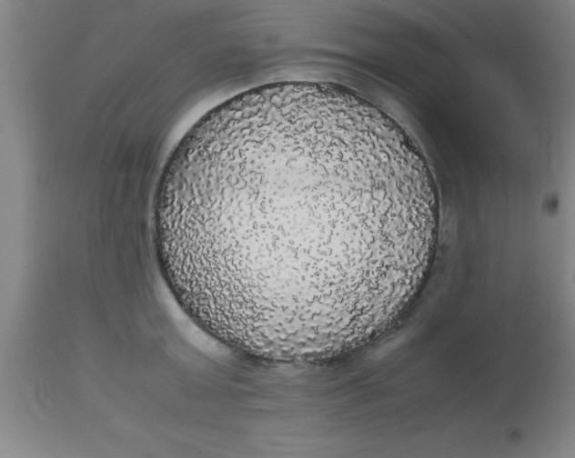 X0000112530803200909071356