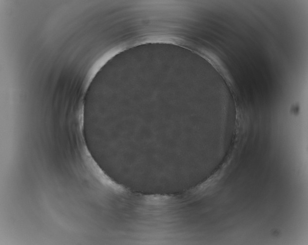 X0000112530804200909071356