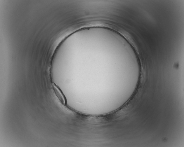 X0000112530805200909071356