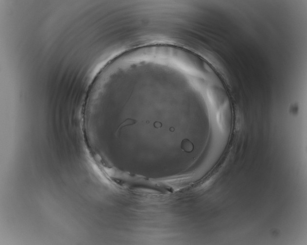 X0000112530806200909071356