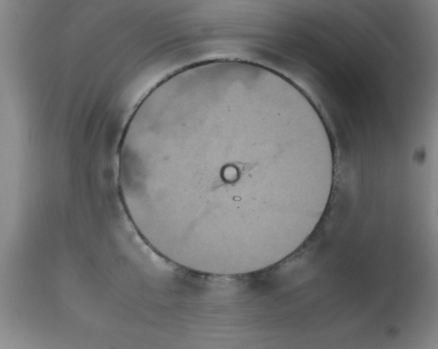 X0000112530807200909071356