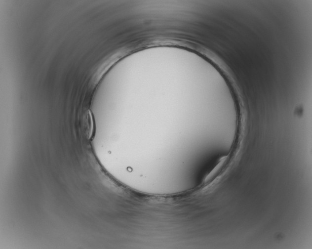 X0000112530809200909071356