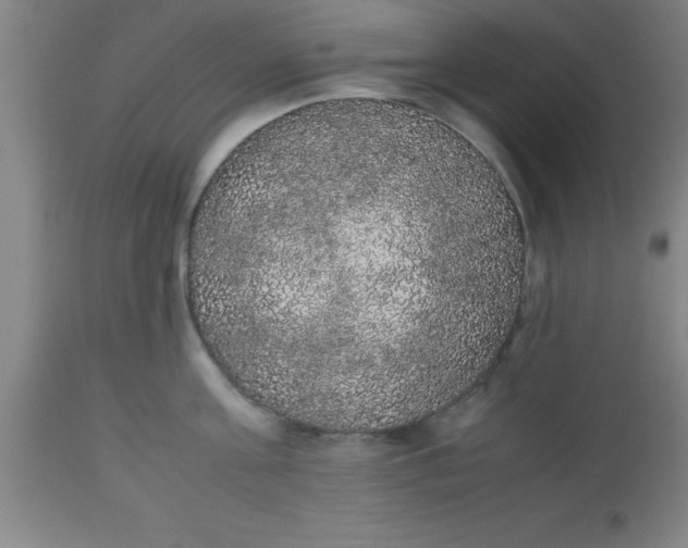 X0000112530811200909071356