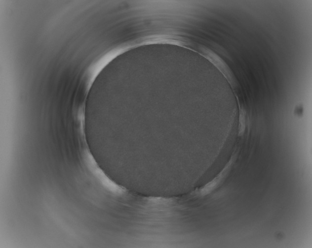 X0000112530812200909071356