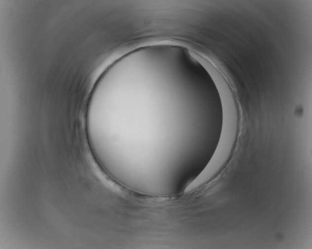 X0000112530813200909071356