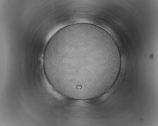 X0000112530814200909071356